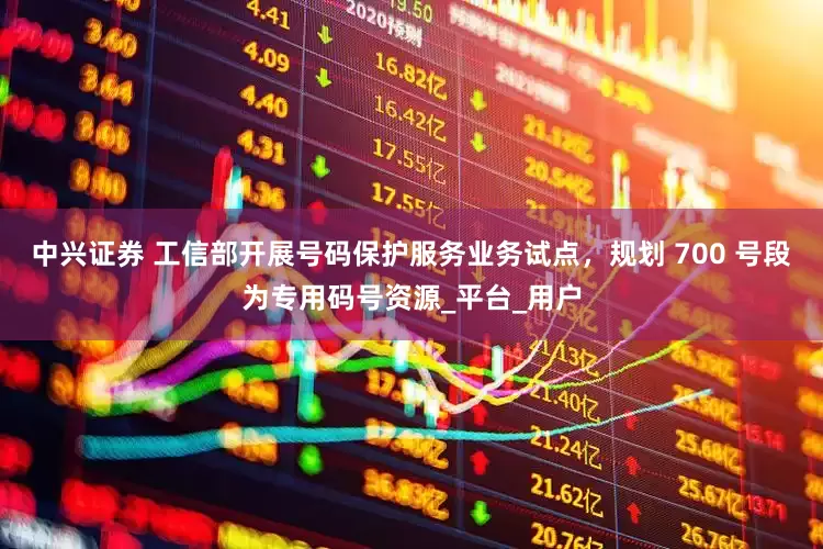 中兴证券 工信部开展号码保护服务业务试点，规划 700 号段为专用码号资源_平台_用户