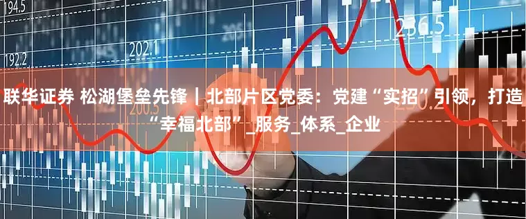 联华证券 松湖堡垒先锋｜北部片区党委：党建“实招”引领，打造“幸福北部”_服务_体系_企业
