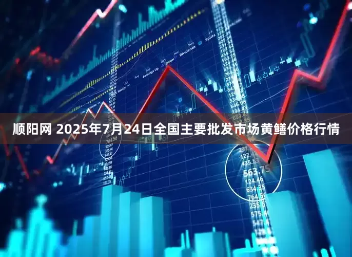 顺阳网 2025年7月24日全国主要批发市场黄鳝价格行情