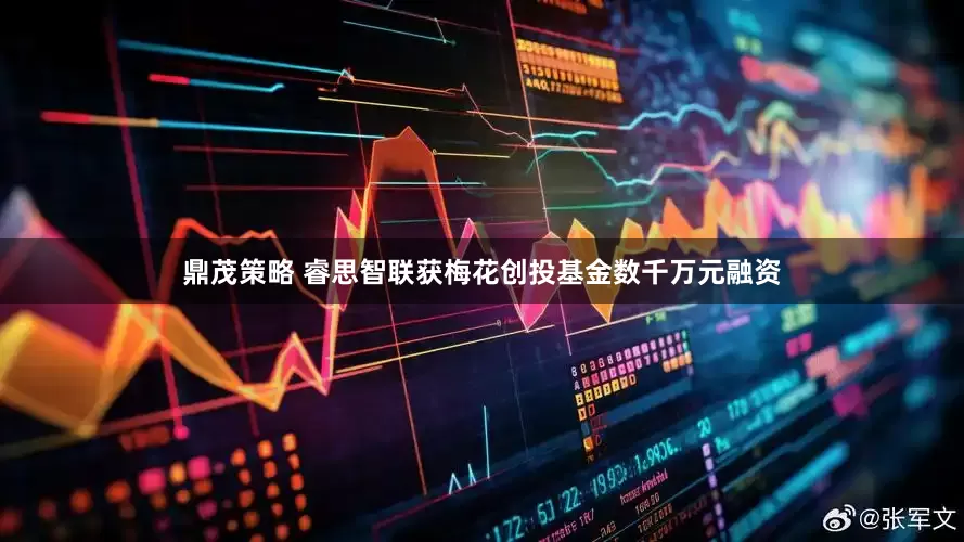 鼎茂策略 睿思智联获梅花创投基金数千万元融资