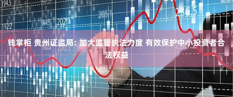 钱掌柜 贵州证监局: 加大监管执法力度 有效保护中小投资者合法权益
