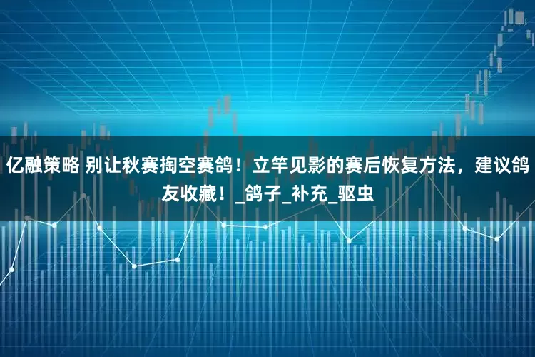 亿融策略 别让秋赛掏空赛鸽！立竿见影的赛后恢复方法，建议鸽友收藏！_鸽子_补充_驱虫