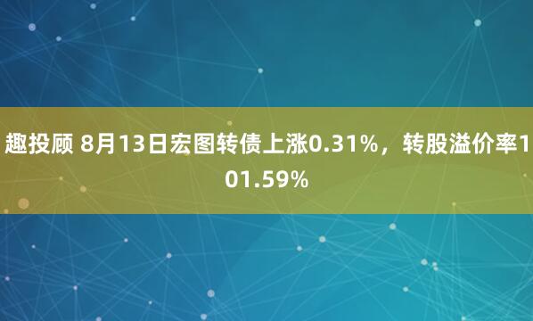 趣投顾 8月13日宏图转债上涨0.31%，转股溢价率101.59%