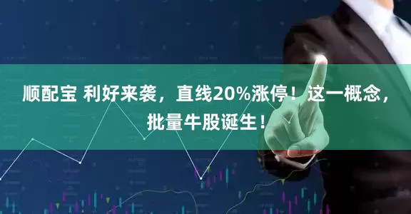顺配宝 利好来袭，直线20%涨停！这一概念，批量牛股诞生！
